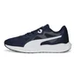 Кроссовки унисекс Puma Twitch Runner Fresh Blue 377981-05