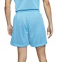 Шорты мужские Nike Dri-Fit Standard Issue X Space Jam 2 Light Blue DJ3896-434