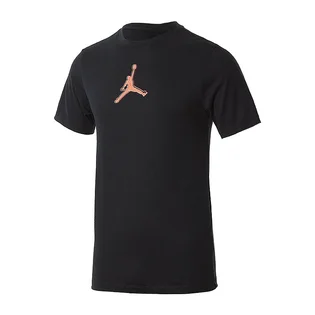 Футболка мужская Air Jordan M J Dfct Air Perf Gfx Crew Black CZ8087-010