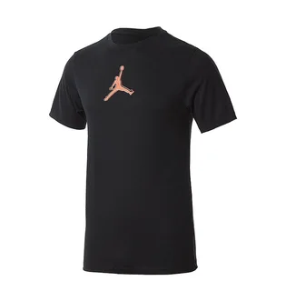 Футболка мужская Air Jordan M J Dfct Air Perf Gfx Crew Black CZ8087-010