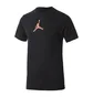 Футболка чоловіча Air Jordan M J Dfct Air Perf Gfx Crew Black CZ8087-010