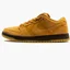 Кросівки унісекс Nike Dunk Low Pro Orange BQ6817-204
