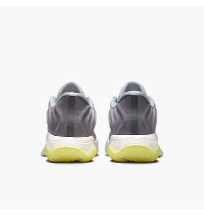 Кросівки унісекс Nike Giannis Immortality 4 Grey FQ3680-009