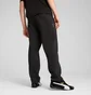 Штаны мужские Puma Pumatech Black 629682-01