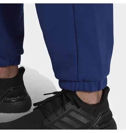 Штаны мужские Adidas Sportswear Future Icons Logo Graphic Pants Blue H39799