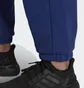 Штаны мужские Adidas Sportswear Future Icons Logo Graphic Pants Blue H39799