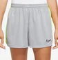 Шорты женские Nike Dri-Fit Academy 23 Shorts Branded Grey DX0128-007