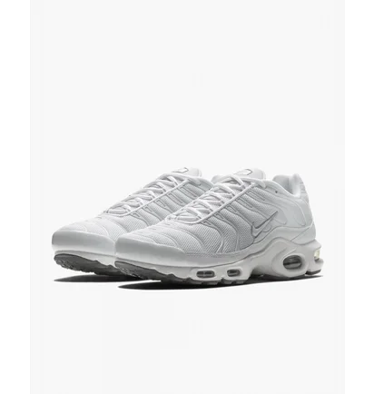 Кроссовки мужские Nike Air Max Plus White 604133-139