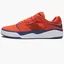 Кросівки чоловічі Nike Sb Ishod Prm Orange DZ5648-800