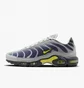 Кросівки чоловічі Nike Air Max Plus Grey/Violet FZ4622-001