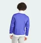 Олимпийка мужская Adidas Purple Adicolor Classics Beckenbauer Blue IP0416