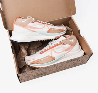 Кроссовки мужские Nike Pegasus Trail 4 Gore-Tex Waterproof Trail Running Shoes Beige/Brown FN8886-181