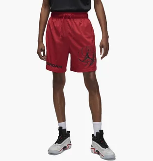 Шорти чоловічі Air Jordan M J Df Sprt Bc Hbr Mesh Short Red DZ0569-687