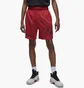 Шорты мужские Air Jordan M J Df Sprt Bc Hbr Mesh Short Red DZ0569-687
