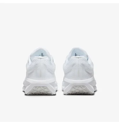 Кросівки жіночі Nike Air Winflo 11 White FJ9510-100