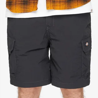 Шорти чоловічі Dickies Jackson Cargo Shorts Black DK0A4YACBLK1