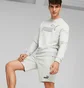 Шорти чоловічі Puma Ess Elevated Shorts Grey 675174-54