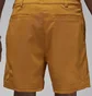 Шорты мужские Air Jordan Dri-Fit Sport Orange DZ0557-754
