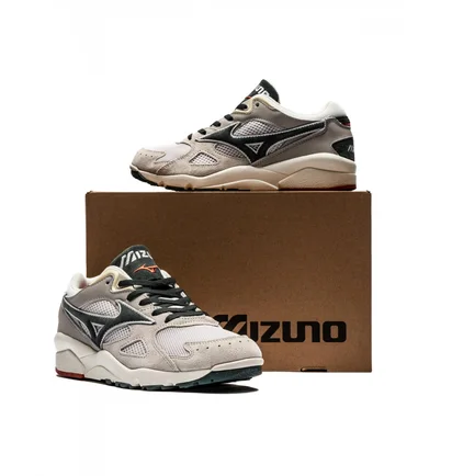 Кросівки унісекс Mizuno Sky Medal S Grey D1GA213210