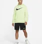 Худи мужское Nike Dri-Fit Green CZ2425-303