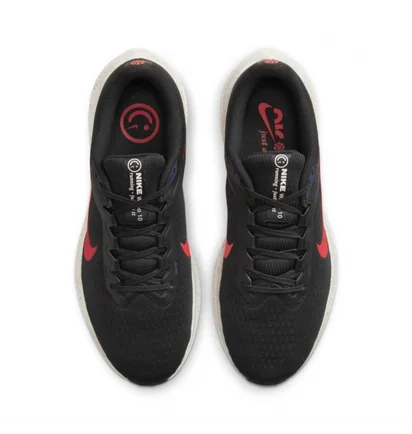 Кросівки чоловічі Nike Air Winflo 10 Black DV4022-002