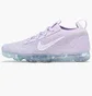 Кросівки жіночі Nike Air Vapormax 2021 Fk Grey DH4088-600