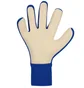 Рукавиці воротарські унісекс Nike Dynamic Fit Soccer Goalkeeper Gloves Blue IF8194-458