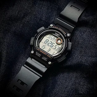 Часы мужские Casio Timeless Collection WS-2100H-1A