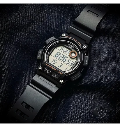 Часы мужские Casio Timeless Collection WS-2100H-1A
