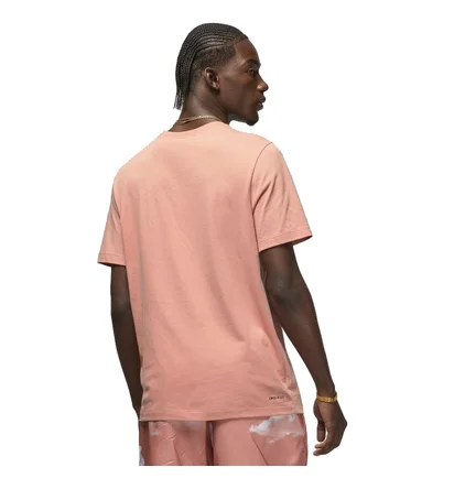 Футболка чоловіча Air Jordan Jumpman Beige Cw5190-824