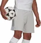 Шорты мужские Adidas Shorts Tastigo19 Sho White GV1614