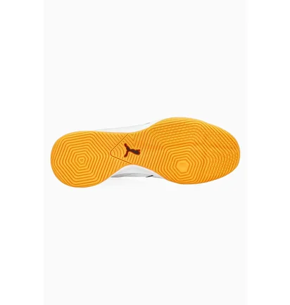 Футзалки мужские Puma Ibero Iv White 107418-04