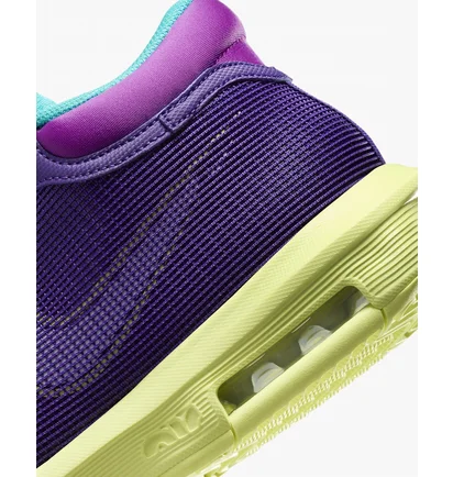 Кросівки унісекс Nike Lebron Witness 8 Violet FB2239-500