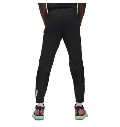 Штаны мужские Air Jordan Zion Pants Black Dr2109-010