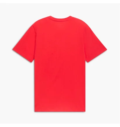 Футболка мужская Puma Essentials Big Cat Tee Red 678890-11
