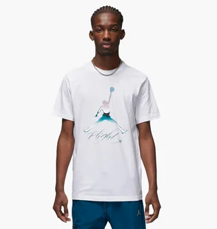 Футболка мужская Air Jordan White Dv8414-100