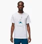 Футболка мужская Air Jordan White Dv8414-100