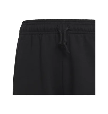 Штаны детские Adidas Future Icons Logo Pants Black HR6286