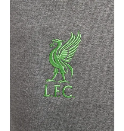 Штани чоловічі Nike Liverpool F.C. Tech Fleece Grey DV4834-071