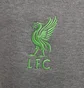 Штани чоловічі Nike Liverpool F.C. Tech Fleece Grey DV4834-071