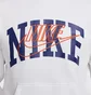Спортивний костюм чоловічий Nike Club Fleece Brushed-Back White FV4447-100__FV4453-100