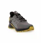 Кроссовки мужские Salomon Supercross 4 Gtx Grey/Brown 473172