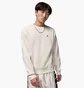 Свитшот мужской Air jordan Brooklyn Fleece Fz Crew Beige FV7293-133