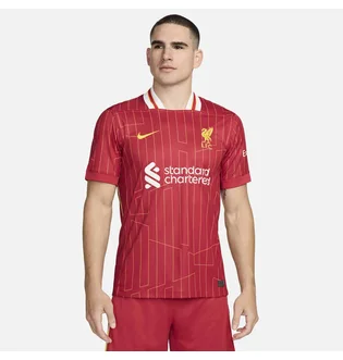 Футболка мужская Nike Fc Liverpool 2024/25 Stadium Home Dri-Fit Replika Red FN8798-688