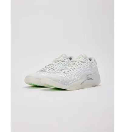 Кросівки унісекс Air Jordan Zion 3 White/Grey DR0675-103