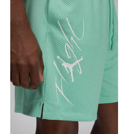 Шорты мужские Air Jordan Essentials Shorts Green FN4647-349