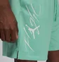 Шорты мужские Air Jordan Essentials Shorts Green FN4647-349