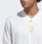 Футболка чоловіча Adidas Juventus Icon Jersey White HS9807