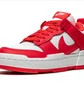 Кроссовки женские Nike Dunk Low Disrupt White/Red CK6654-601