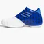 Кроссовки мужские Adidas T-Mac 1 Basketball Shoes Blue/White Gy2402